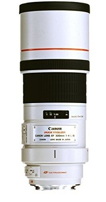 Canon EF 300mm F4.0 L IS USM